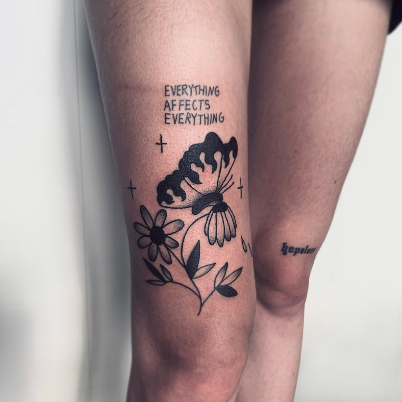 Motýľ a kvety — illustrative